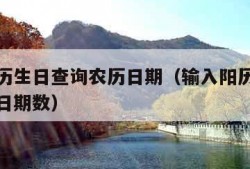 输入阳历生日查询农历日期（输入阳历生日查询农历日期数）