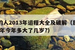 属兔的人2013年运程大全及破解（属兔的2013年今年多大了几岁?）