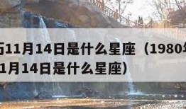 农历11月14日是什么星座（1980年农历11月14日是什么星座）