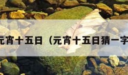 元宵十五日（元宵十五日猜一字）