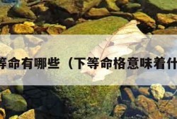 下等命有哪些（下等命格意味着什么）