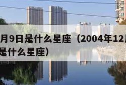 12月9日是什么星座（2004年12月9日是什么星座）