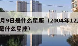 12月9日是什么星座（2004年12月9日是什么星座）