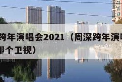 周深跨年演唱会2021（周深跨年演唱会2021哪个卫视）