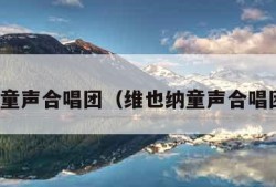 维也纳童声合唱团（维也纳童声合唱团歌曲）