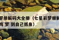 七星彩梦册解码大全册（七星彩梦册解码大全册大公鸡 梦 到自己抓鱼）