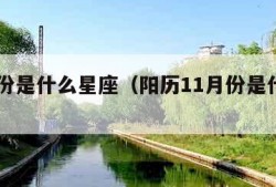 11月份是什么星座（阳历11月份是什么星座）