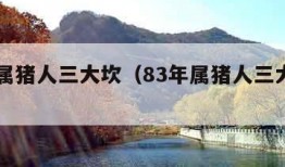 83年属猪人三大坎（83年属猪人三大坎婚姻）