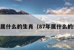 86年属什么的生肖（87年属什么的生肖）