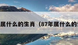 86年属什么的生肖（87年属什么的生肖）