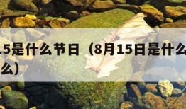 8月15是什么节日（8月15日是什么节日干什么）