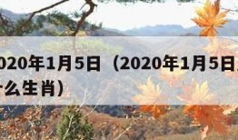 2020年1月5日（2020年1月5日属什么生肖）