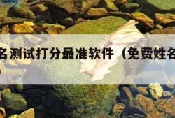 免费姓名测试打分最准软件（免费姓名测试打分网站）