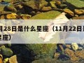 11月28日是什么星座（11月22日是什么星座）