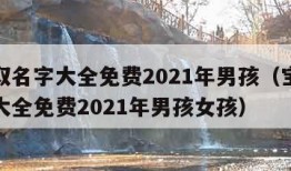 宝宝取名字大全免费2021年男孩（宝宝取名字大全免费2021年男孩女孩）