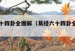 易经六十四卦全图解（易经六十四卦全图解水雷屯）