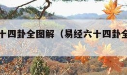 易经六十四卦全图解（易经六十四卦全图解水雷屯）