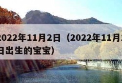 2022年11月2日（2022年11月2日出生的宝宝）