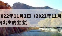 2022年11月2日（2022年11月2日出生的宝宝）