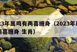 2023年属鸡有两喜缠身（2023年属鸡有两喜缠身 生肖）