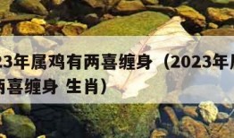 2023年属鸡有两喜缠身（2023年属鸡有两喜缠身 生肖）