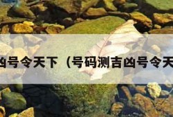 吉凶号令天下（号码测吉凶号令天下）