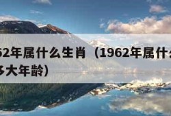 1962年属什么生肖（1962年属什么生肖多大年龄）