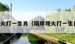 隔岸观火打一生肖（隔岸观火打一生肖数字）