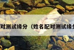 姓名配对测试缘分（姓名配对测试缘分关系）