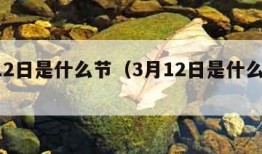 3月12日是什么节（3月12日是什么日子）