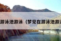 梦见在游泳池游泳（梦见在游泳池游泳比赛）